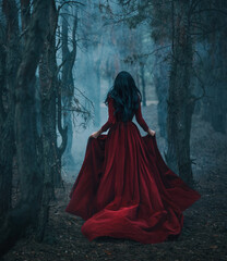 Art photo real person Gothic girl walking running in dark foggy forest trees, velvet red long medieval old style long dress train fly wind. Fantasy Woman Black hair back rear view fairy princess