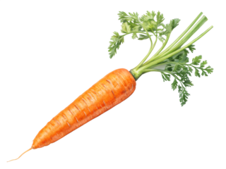 Top View of Fresh Orange Carrot