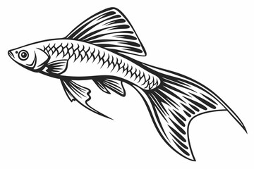 swordtail sihouette black vector