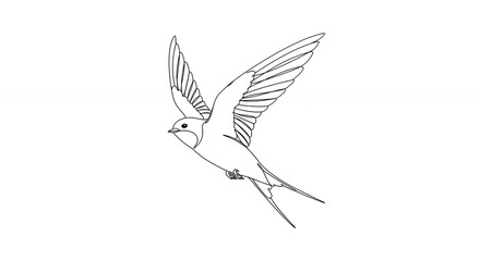 Obraz premium Line art flying bird