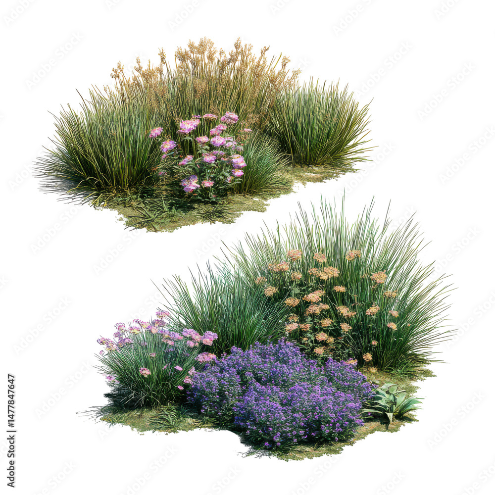Poster 3d render grass bushes with flowers, cut out on transparent background isolated on transparent or wh