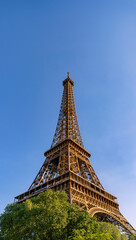 Low angle view of the Eiffel Tower illuminated by sunset sunlight against a clear blue sky with green trees in Paris, France.