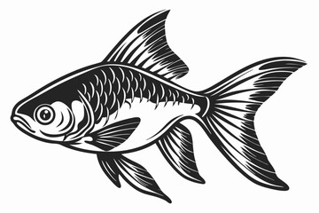 tetra fish sihouette black vector