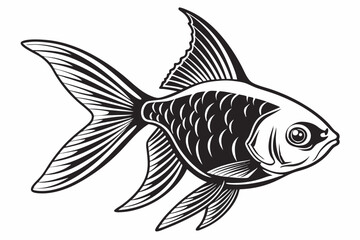 tetra fish sihouette black vector