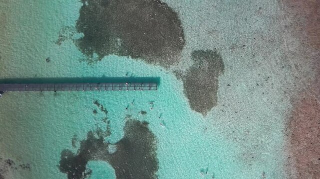 pier in mahahual Mexico in the middle of the blue ocean