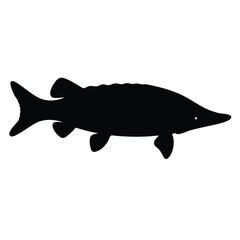 sturgeon vector silhouette icon - ideal for fishing logos, seafood icons, and aquatic-themed graphics.