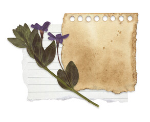 Vintage Botanical Note with Pressed Flower and Torn Paper. Perfect for Scrapbooking, Journaling,...