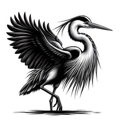 Elegant Heron in Black and White Illustration