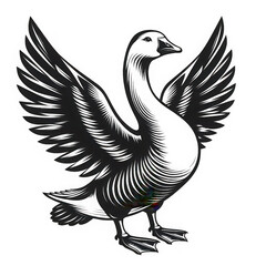 Royal Duck