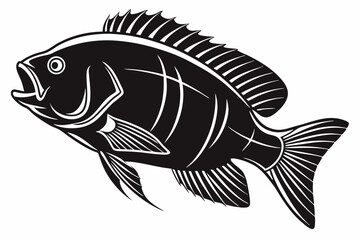 cichlid sihouette black vector