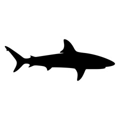tiger shark vector silhouette icon - ideal for fishing logos, seafood icons, and aquatic-themed graphics.