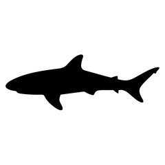tiger shark vector silhouette icon - ideal for fishing logos, seafood icons, and aquatic-themed graphics.