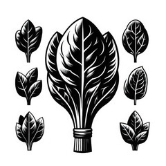Tobacco leaf bundle