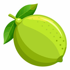 Vector illustration of a green lemon 