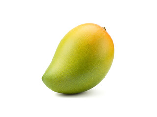 Single green yellow mango isolated on white background.