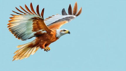 Obraz premium Majestic Eagle Soaring with Grace Against a Clear Blue Sky