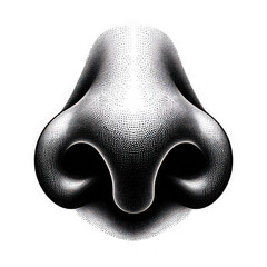 Detailed Dotted Line Illustration of a Nose