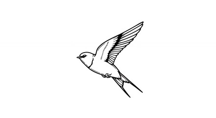Simple line art illustration of a flying swallow