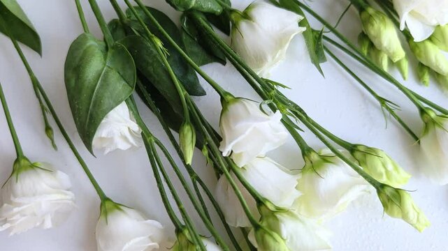 Floral background of eustoma on white background. Romantic, wedding background. Top view flat lay overhead.