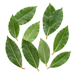 Obraz premium Fresh, vibrant bay leaves arranged in a cluster, showcasing their rich green color and distinct shape