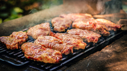 Juicy steaks grilling over an open flame in a lush backyard