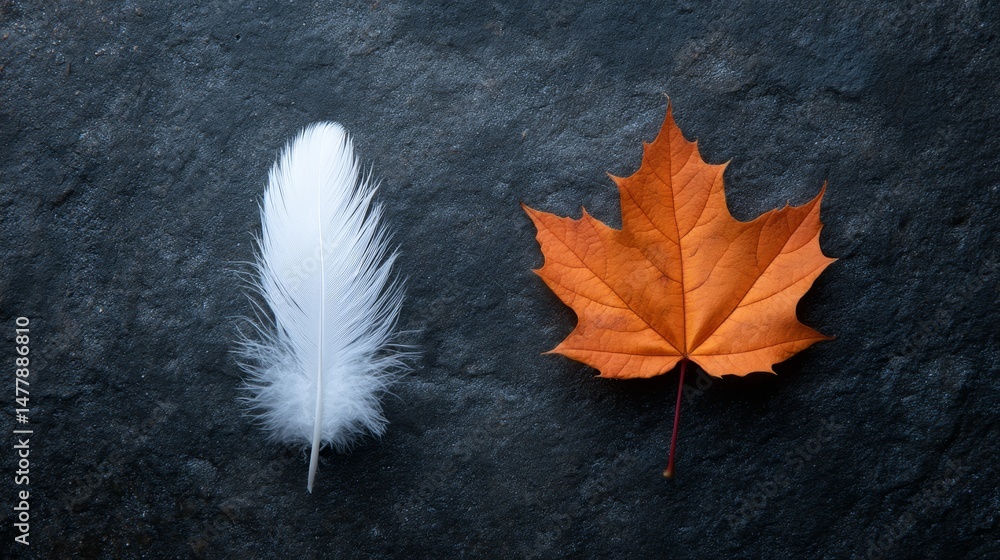 Poster a delicate white feather lies next to a vibrant orange maple leaf on a dark textured surface, illumi