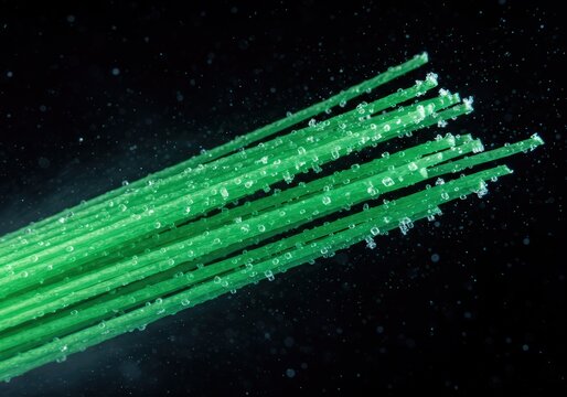 Emerald strands, glistening with dew, rapidly cool against a dark backdrop. A captivating display of natures artistry.