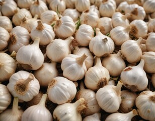 Uniformly arranged garlic bulbs showcasing their vibrant skin and subtle textures ,  fresh,  healthy,  bright