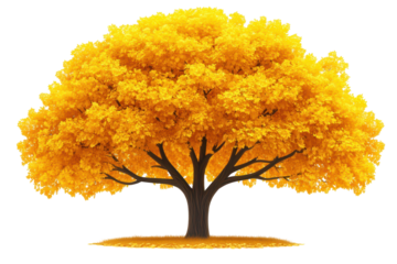 Solitary tree with vibrant golden foliage against a black background Symbolizing autumn season beauty in nature and tranquil seasonal scene