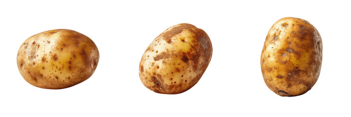 Fresh raw potatoes isolated on transparent background