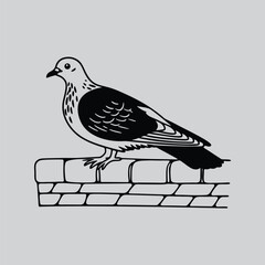 Minimalist Pigeon Vector Art