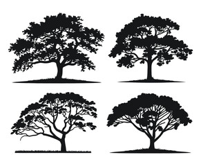 Locust Tree Silhouette EPS Template Set