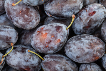 prune plum pattern background top view