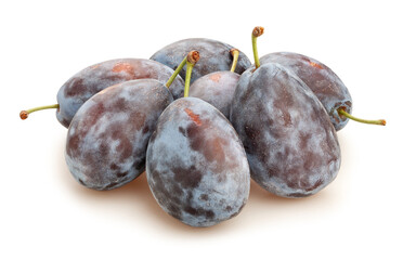 prune plum path isolated on white