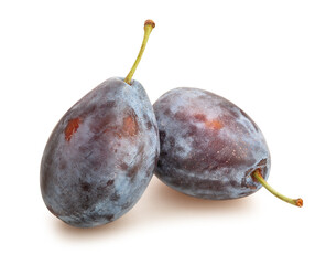 prune plum path isolated on white