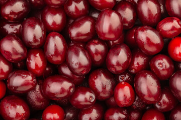 dogwood berry pattern background top view