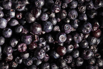 blackberry pattern background top view