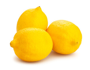 lemon path isolated on white