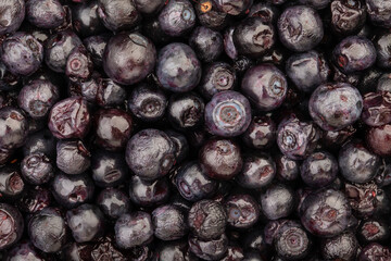 blackberry pattern background top view