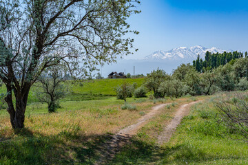 A spring landscape with a tree on the side of a dirt road, bushes with lush foliage and two abandoned houses against the backdrop of majestic snow-capped mountain peaks.