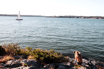 Photographer Capturing a Sailboat in Newport Harbor, RI