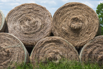 stacked hay round bales used for feeding horses and cattle 