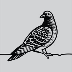 Bird Silhouette with Feather Details