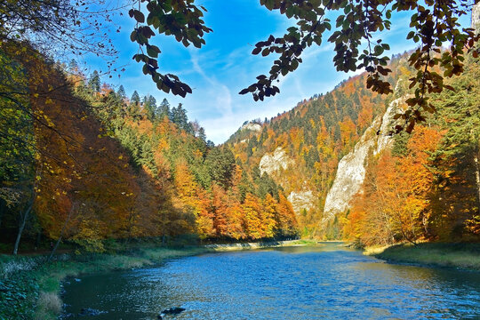 Stunning view of Dunajec river gorge in Pieniny National Park, Poland at sunny autumn day. 
