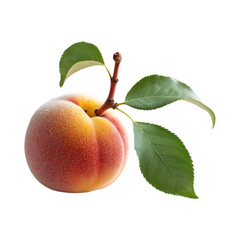Fresh Peach with Green Leaves Isolated on White Background