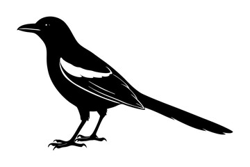 Obraz premium Magpie Silhouette vector