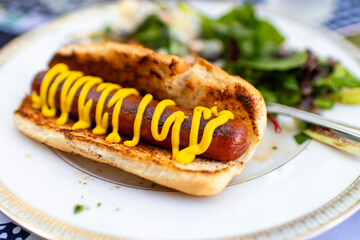 A hot dog with mustard on it on a plate with salad in the background 
