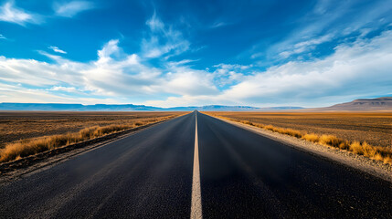 A long asphalt road stretches towards the horizon under a bright blue sky.