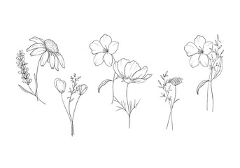 Set sketch illustration in line art style elegant bouquet with wild flowers, herbs, spikelets for colouring book, textile, cards, packaging and decor, tattoo.