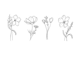 Set sketch illustration in line art style elegant bouquet with wild flowers, herbs, spikelets for colouring book, textile, cards, packaging and decor, tattoo.